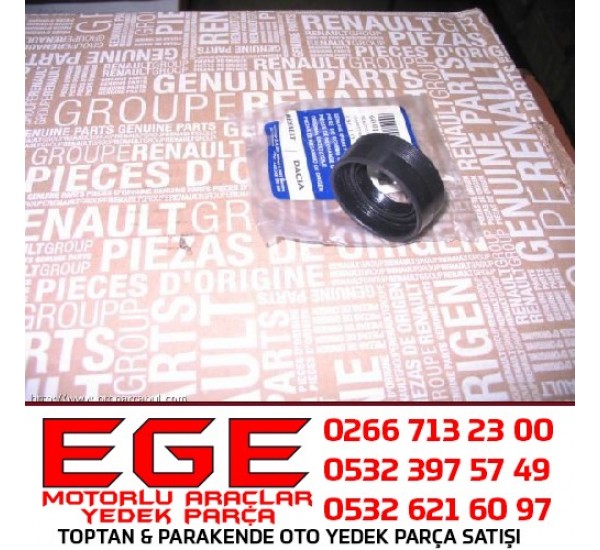 DACIA AKS KEÇESİ 6001541467